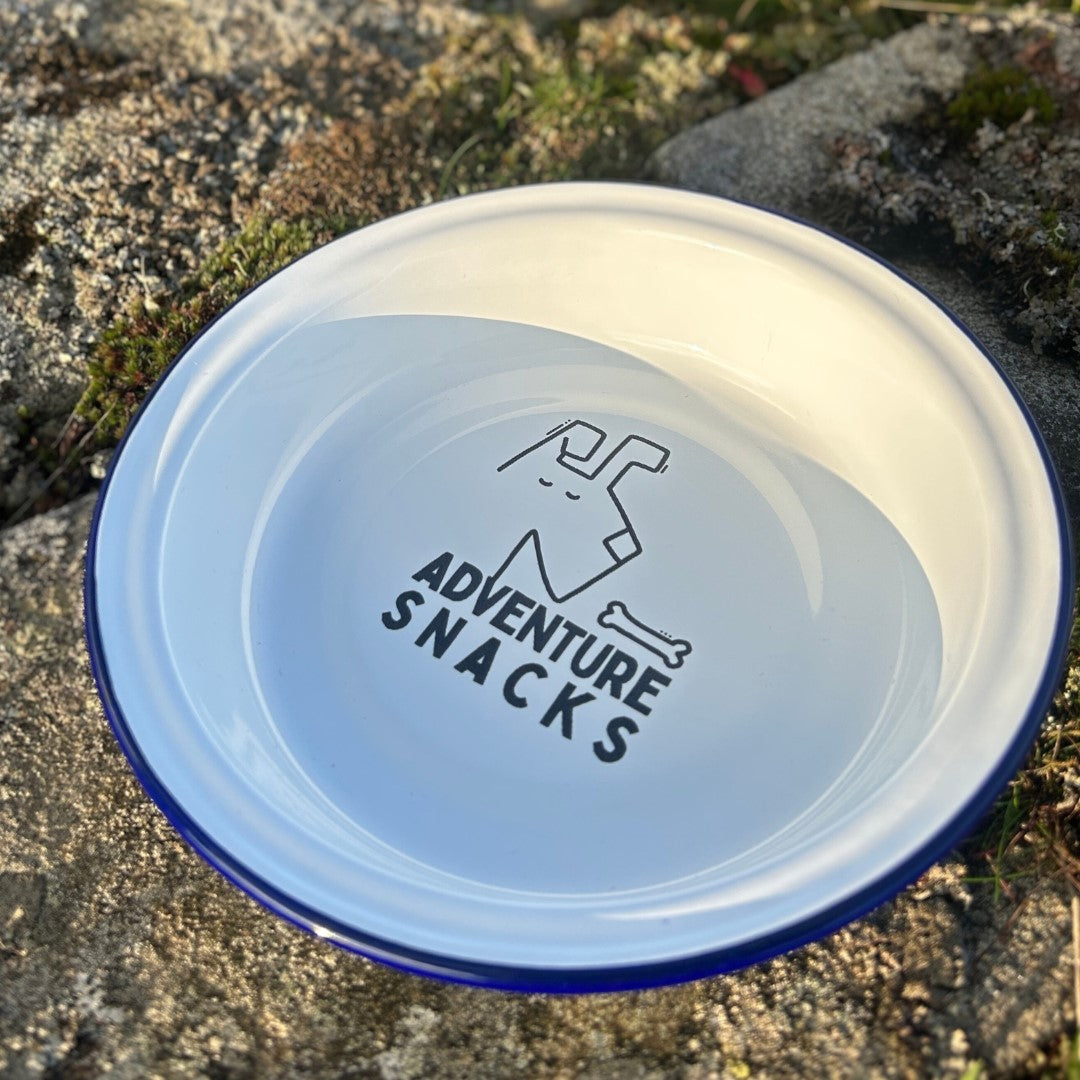 Enamel Dog Bowl