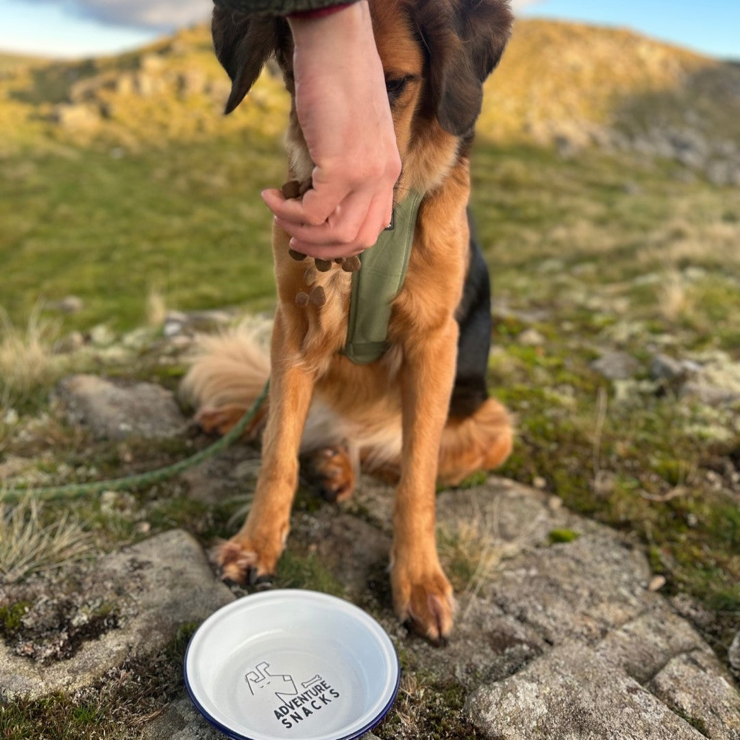 Enamel Dog Bowl
