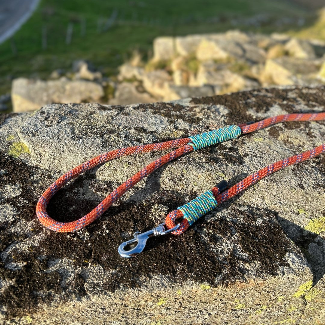Retired Climbing Rope Dog Lead