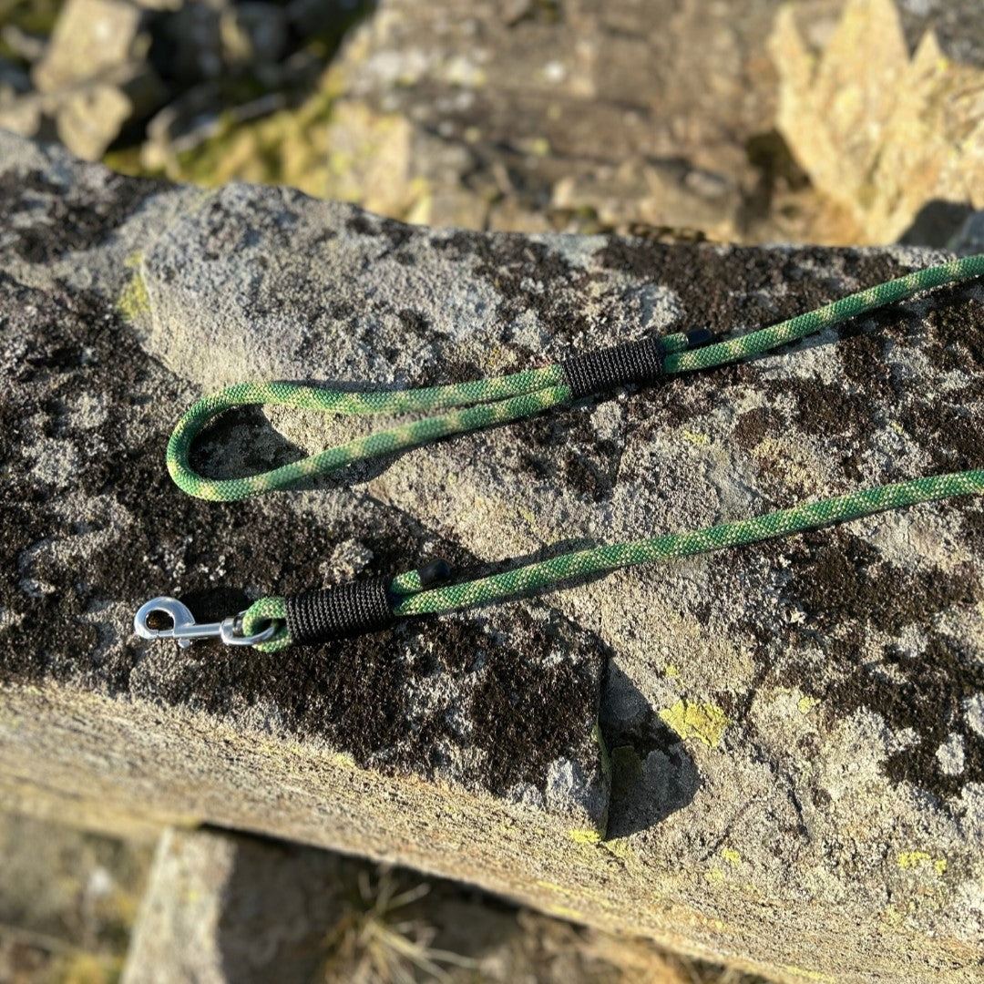 Retired Climbing Rope Dog Lead